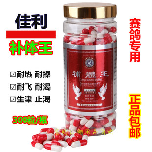 台湾斯德宝佳利鸽药【补体王】300粒/比赛恢复体能耐力止渴提速度