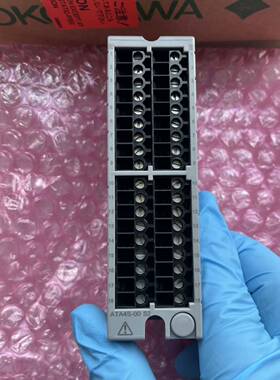 可维修YOKOGAWA  ，ATA4S-00    S2 接线