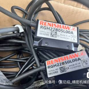 可议价英国RGH22B50L00A读数头，两个，型号RG