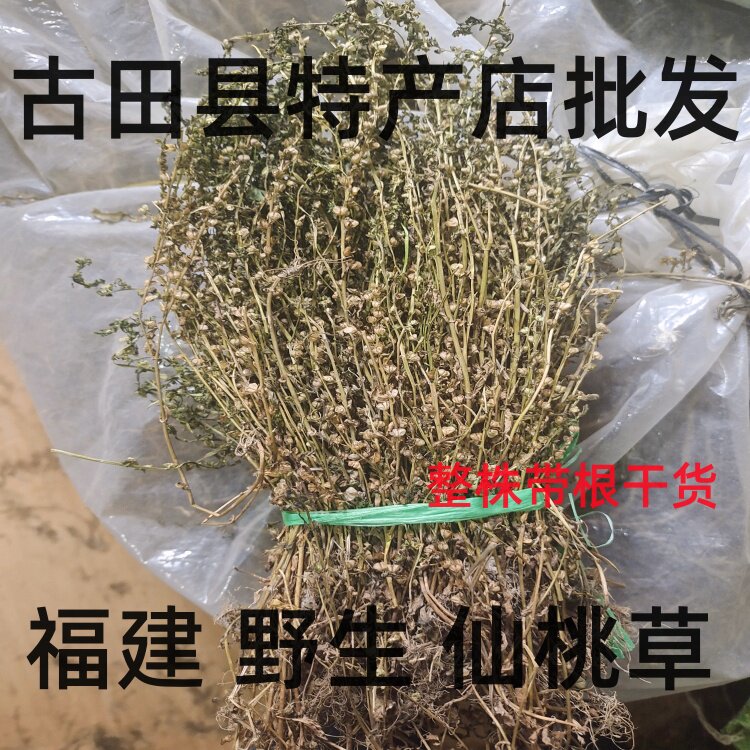 野生仙桃草 水蓑衣 英桃草 蟠桃草 接骨仙桃 地胡椒 晒干全草干货