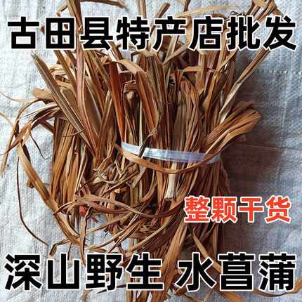 野生水菖蒲 端午节挂门上 四季常青 纯天然晒干干货 整颗包邮清火