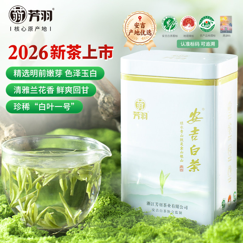 新茶明前特级绿茶茶叶图片