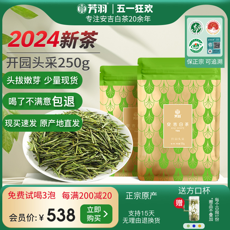 2024新茶芳安吉白茶羽头采250g