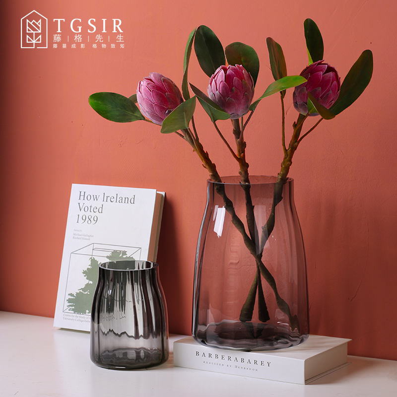 创意现代简约透明玻璃花瓶北欧客厅电视柜水养鲜花植物插花器摆件