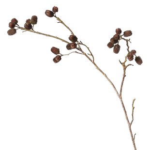 仿真高枝青葙果客厅插花电视柜假花装饰长枝花艺配材干花果野山果