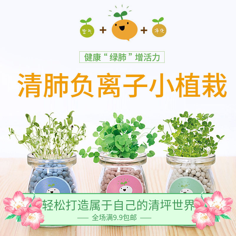 创意室内负离子水培植物种子盆栽