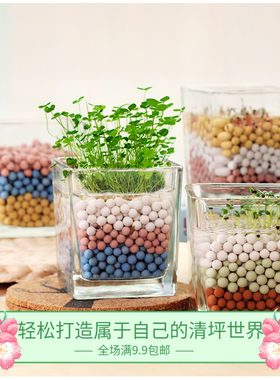 负离子培植心形陶碳球防辐射