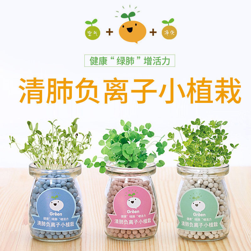 创意室内负离子水培盆栽 绿色迷你水培陶碳球防辐射小草植物种子
