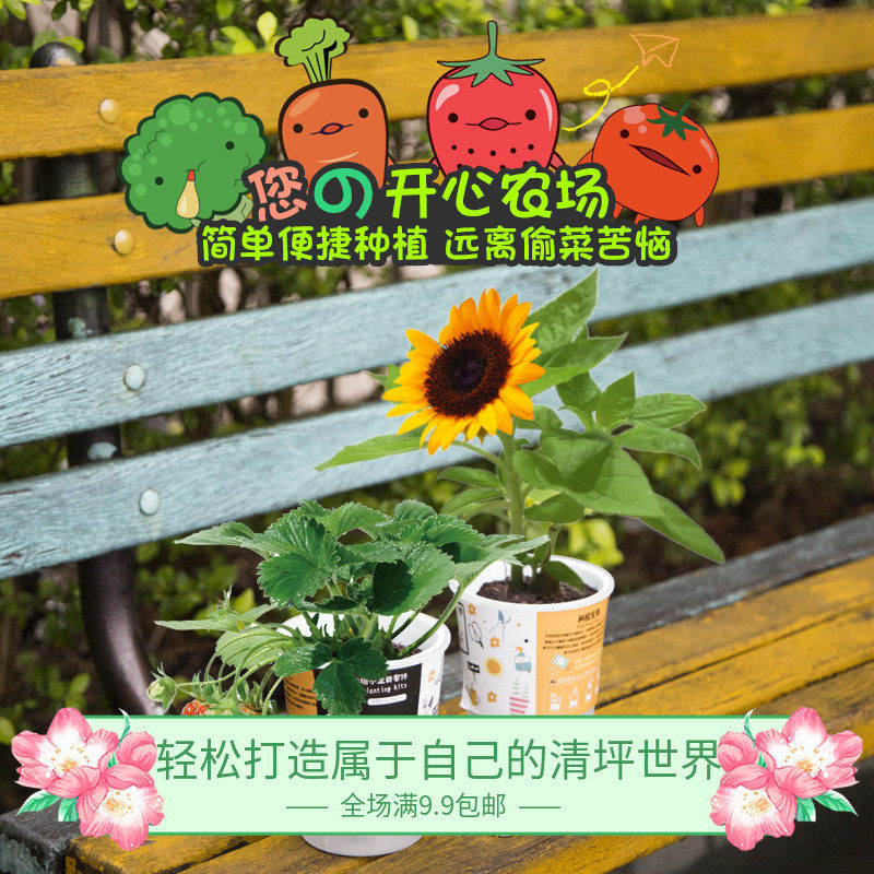 乐乐盆栽 儿童种植玩具小学生科教益智套装女孩礼物开心农场礼物,节庆用品/礼品,创意礼盒/礼品套组,淘宝优惠券,粉丝福利购,淘宝优惠卷