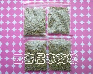 新品促销 会长字的魔草种植办公室负离子种子 草籽草娃娃