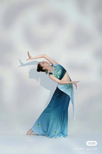 成人傣族女修身孔雀舞表演服渐变色包臀石榴籽裙艺考练习裙新款