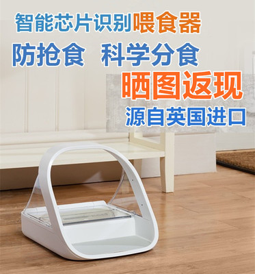 猫咪自动喂食器英国识别食盆