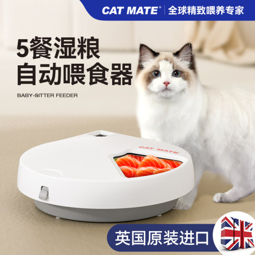 宠物定时自动喂食器猫狗通
