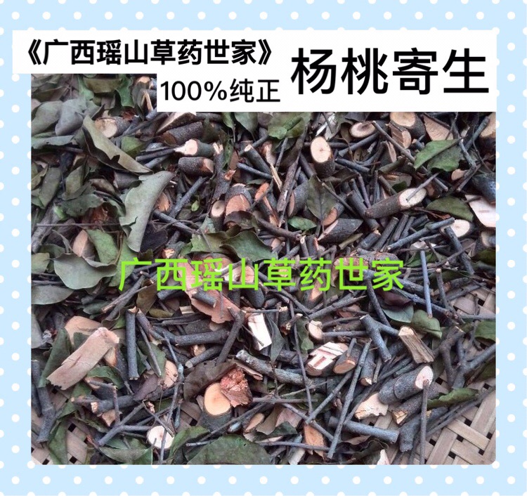杨桃树寄生酸杨桃树寄生洋桃寄生五敛子寄生干品500g包邮图片