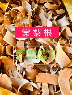 棠梨根干品500克糖梨根鸟梨根山梨根豆梨根野梨根