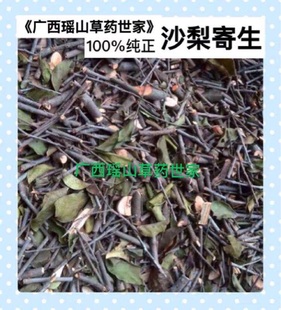 沙梨树寄生沙梨木寄生沙梨寄生梨寄生干品500g包邮