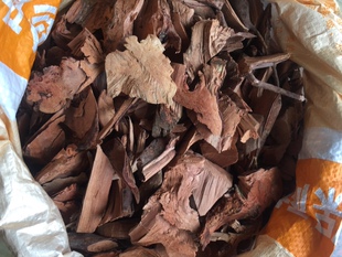 100年老树龙眼树根桂圆树纯根500克包邮