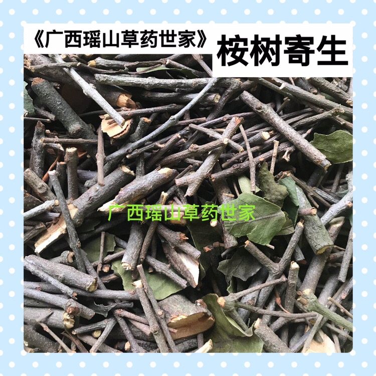 大叶桉寄生细叶桉树寄生蚊子树寄生茶干品500g包邮