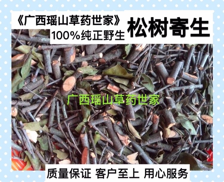 松树寄生松木寄生马尾松寄生高山松油松寄生干品500g包邮