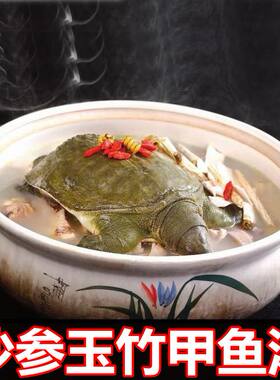 广东滋补养生药膳沙参玉竹