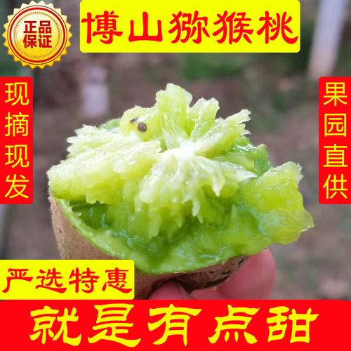 博山猕猴桃源泉碧玉麻庄无毛