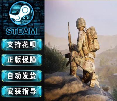 江湖STEAM PC正版中文 Squad 战术小队 行动小组 国区激活码自