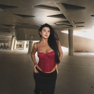 LAPINKY【凡尔塞影】复古棕红两色吊带鱼骨蕾丝网纱外穿胸衣打底