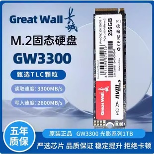 长城GW3300M2固态硬盘NVMe协议SATA接口办笔记本固态硬盘预装 系统