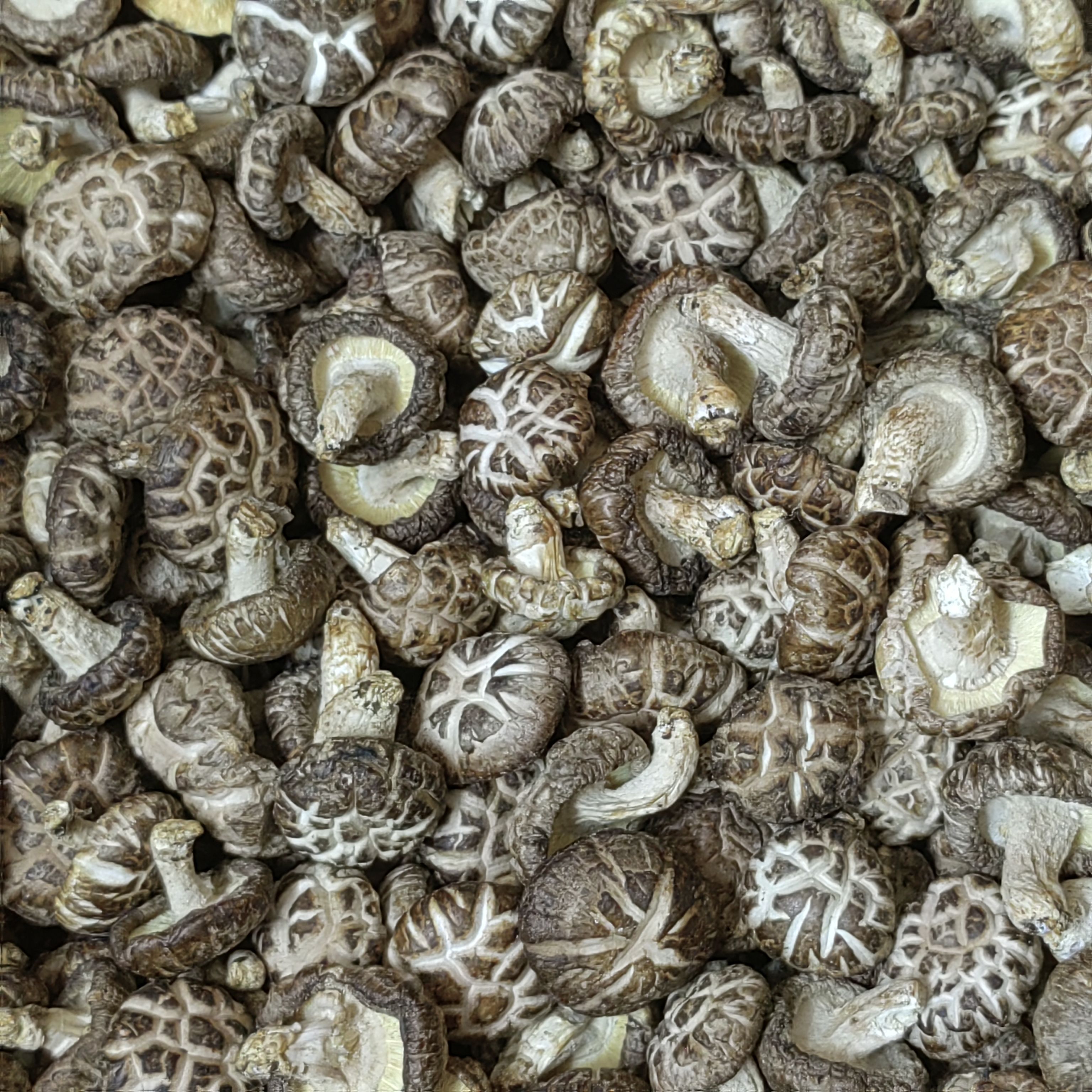 花菇干货韶关特产香菇蘑菇散装食用农产品