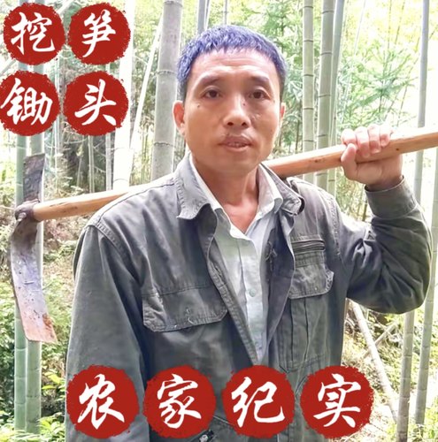 挖冬笋专用锄头手工锻打全钢挖地挖桩多功能便携户外江西农家纪实