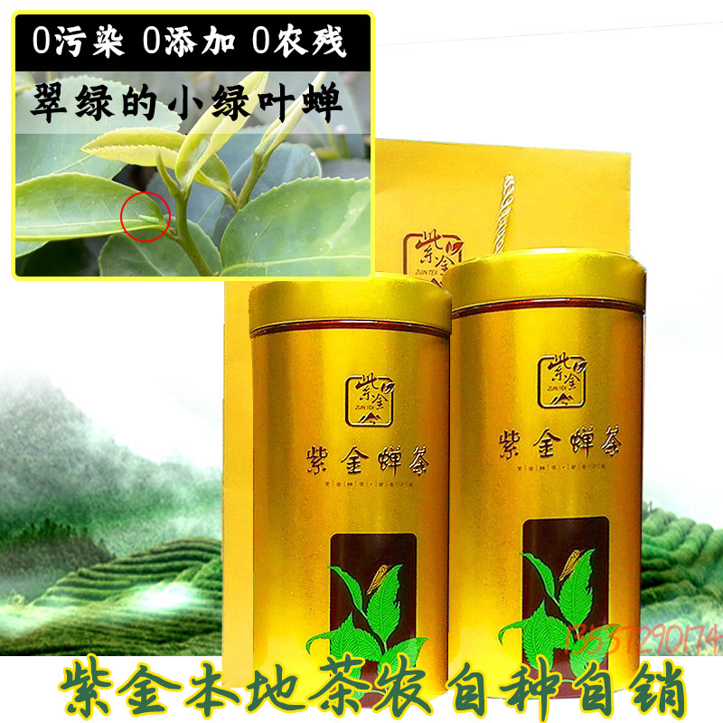 茶农河源紫金蝉茶蜜香味东方美人绿茶阿里山金萱茶礼盒装500g/提