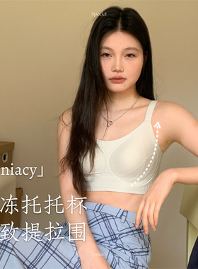提拉调整天花板！防外扩下垂双倍抬胸防上滑显小超薄固定胸垫文胸