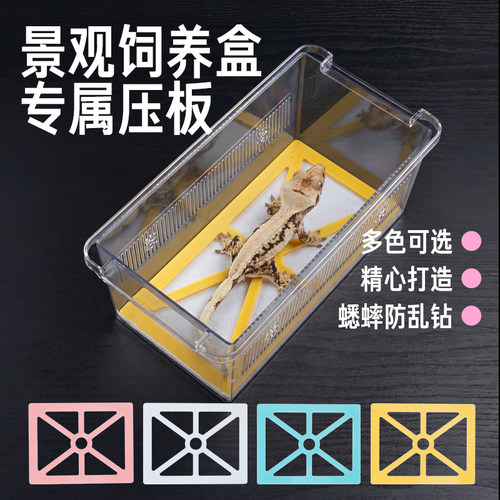 SuperRep爬宠无纺布垫材网格压板睫角R属巨人守宫饲养盒爬盒垫板