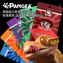 盘古Pangea爬虫果泥睫角巨人守宫盖勾亚魔物爬宠水果昆虫混合饲料