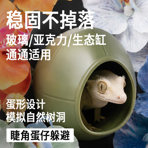 SuperRep爬宠蛋仔吸盘躲避窝加湿窝造景爬虫睫角豹纹守宫姥爷树蛙