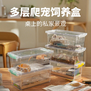 爬虫高透光饲养盒睫角R属守宫角蛙蛇蜘蛛甲虫寄居蟹爬宠饲养箱