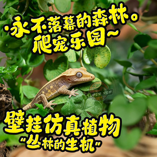 爬宠仿真植物睫角R属守宫蛙蜥蜴蛇爬虫绿植雨林缸造景装饰带吸盘