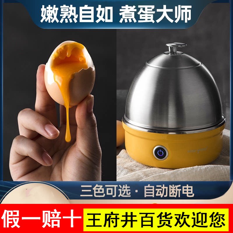 名友煮蛋器蒸蛋器自动断电家用小型迷你不锈钢早餐机煮鸡蛋神器