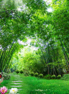 竹子绿色海报壁纸风景画