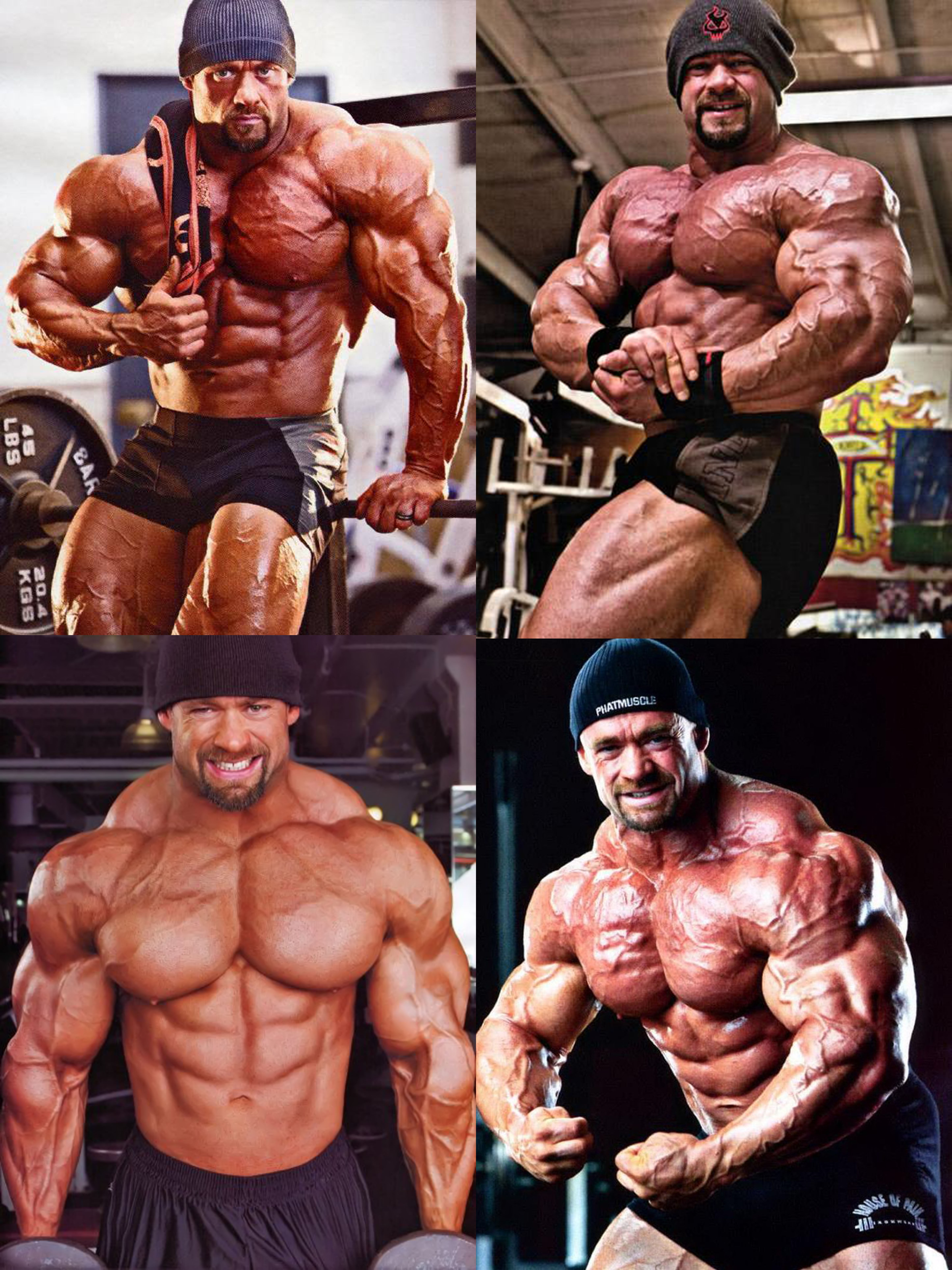 布兰奇沃伦branch warren健美先生肌肉男健身房宿舍海报装饰画18c