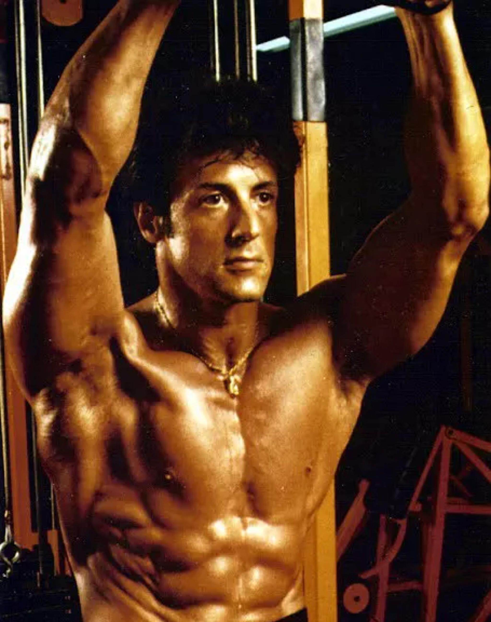 史泰龙电影洛奇第一滴血兰博敢死队拳击肌肉男明星健身海报装饰12