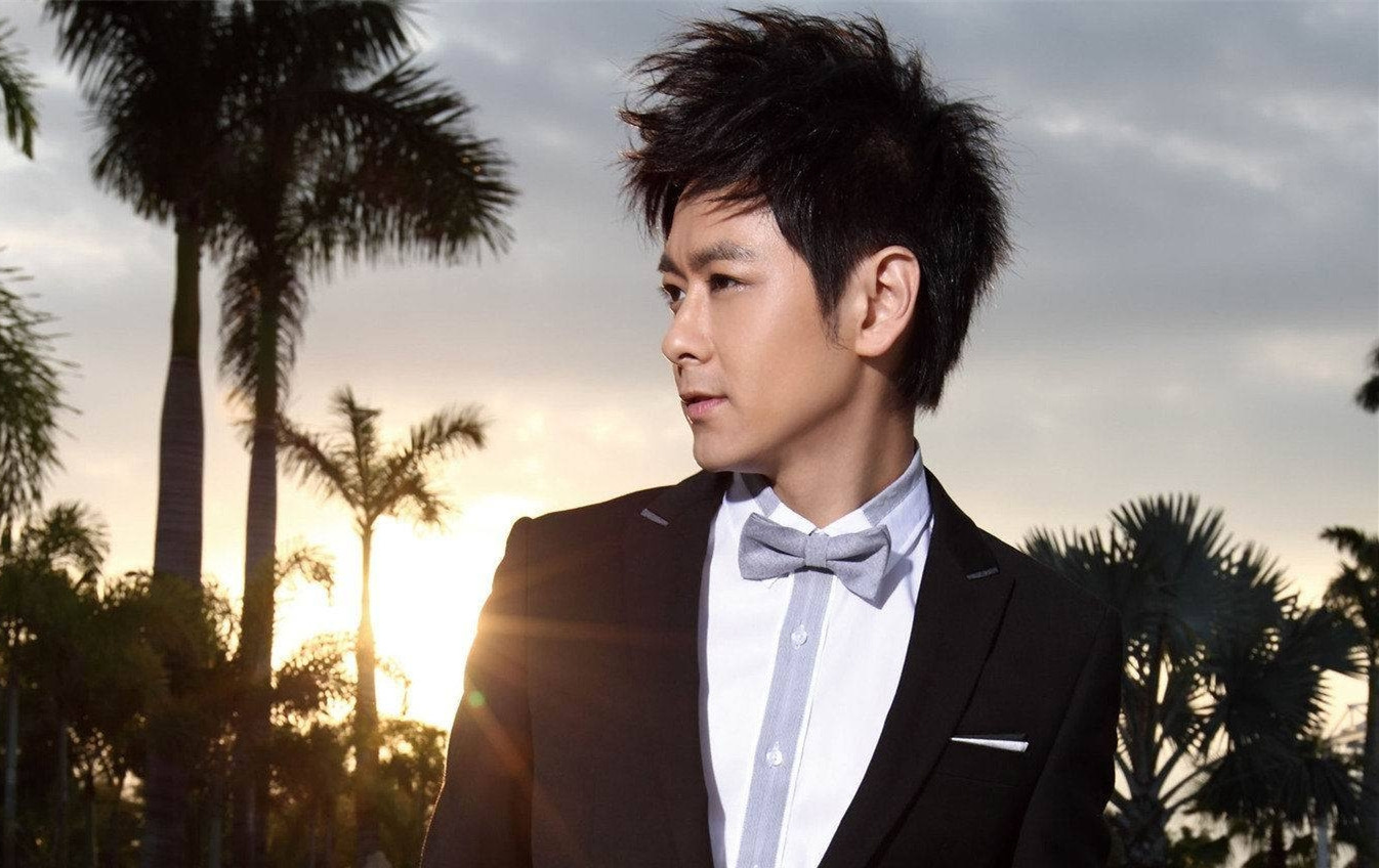 林志颖老照片海报男明星帅哥俊男贴画追星族宿舍卧室贴画装饰画27