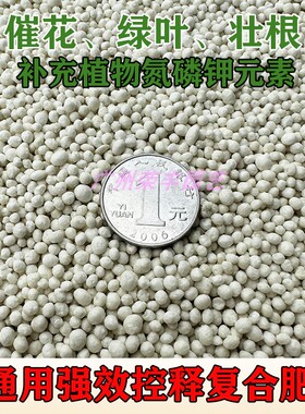 翠筠控释强效肥 通用型花卉绿植缓释复合肥料14-13-14均衡型3-4月