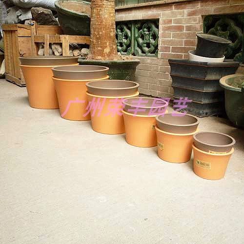 特价台湾翠筠如意盆pp塑料包邮