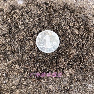 原装德国进口福洛伽泥炭 白泥炭藓(多肉播种 育苗 扦插 上盆)分装