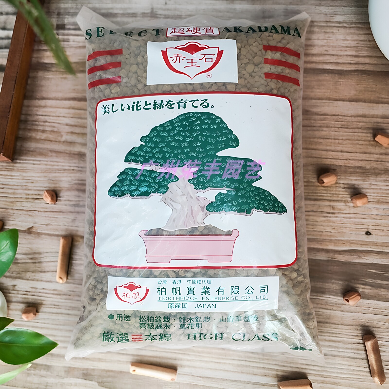 日本赤玉土三本线多肉洋兰盆景土