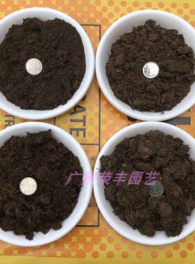 芬兰多肉扦插泥炭土