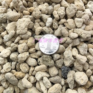 日本原装 火山植金石 分装 兰花土 国兰 洋兰用颗粒火山石铺面石