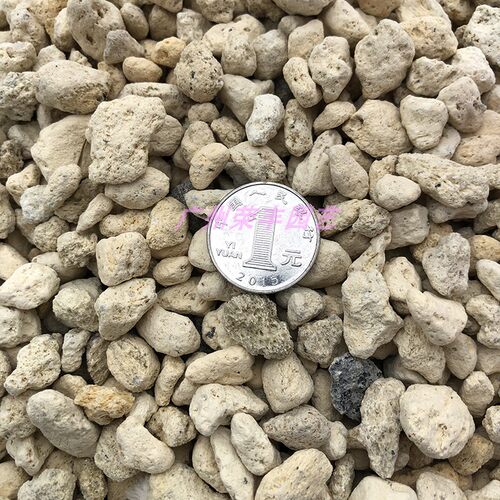 火山植金石洋兰科种植基质颗粒土