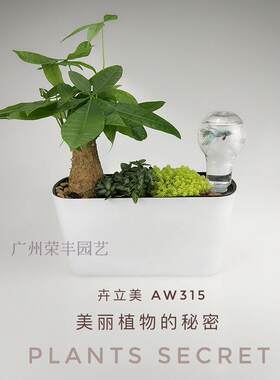 卉立美-超级懒人长槽盆 自动吸水花槽 全新PP塑料 长型土培花盆